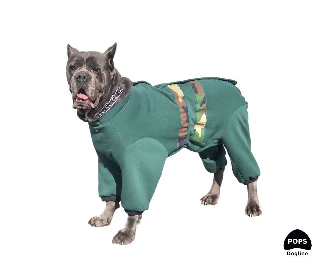 Dog clothes 4